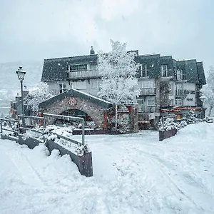 Llop Gris Andorra